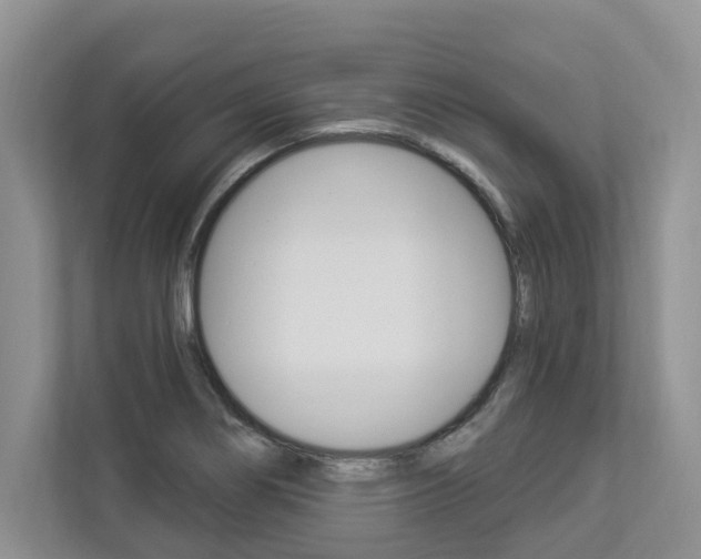 X0000112891274200908211023