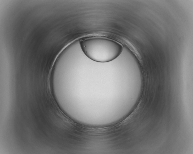 X0000112891276200908211023