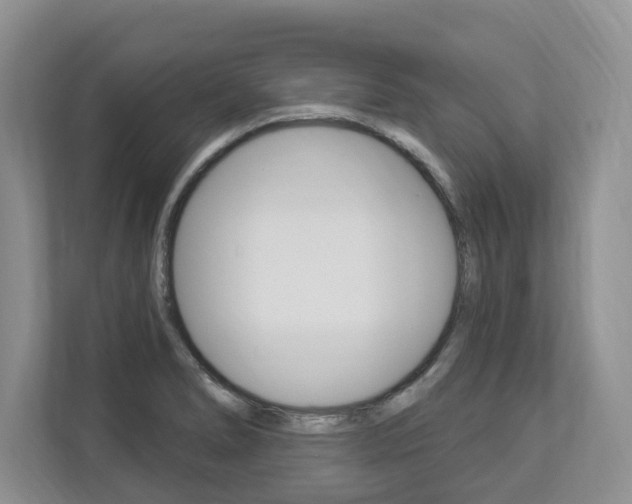X0000112891278200908211023