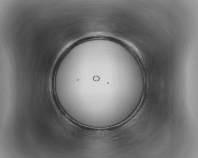 X0000112891279200908211023