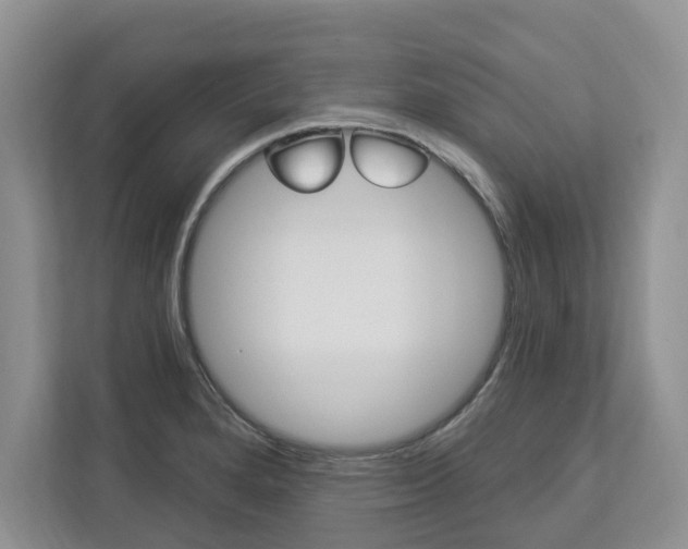 X0000112891280200908211023