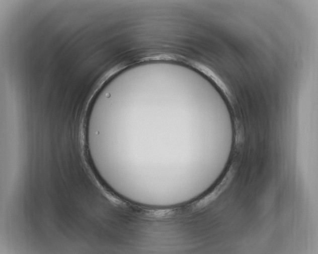 X0000112891282200908211023