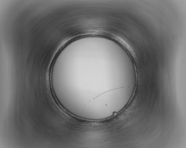 X0000112891283200908211023