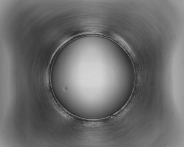 X0000112891284200908211023