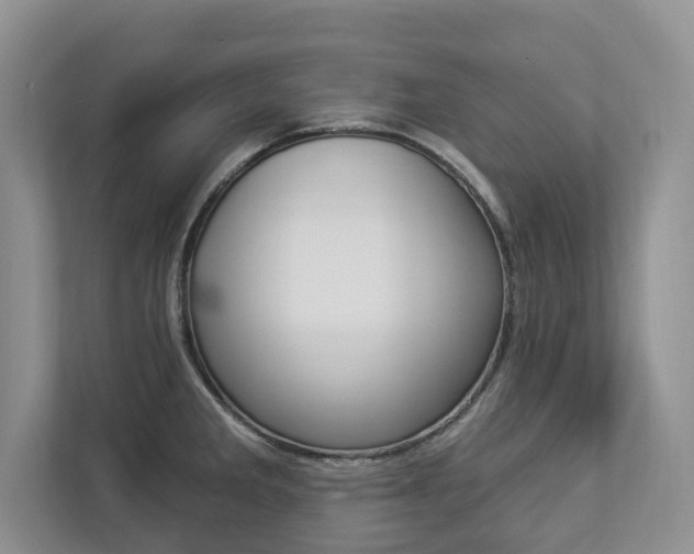 X0000112891285200908211023