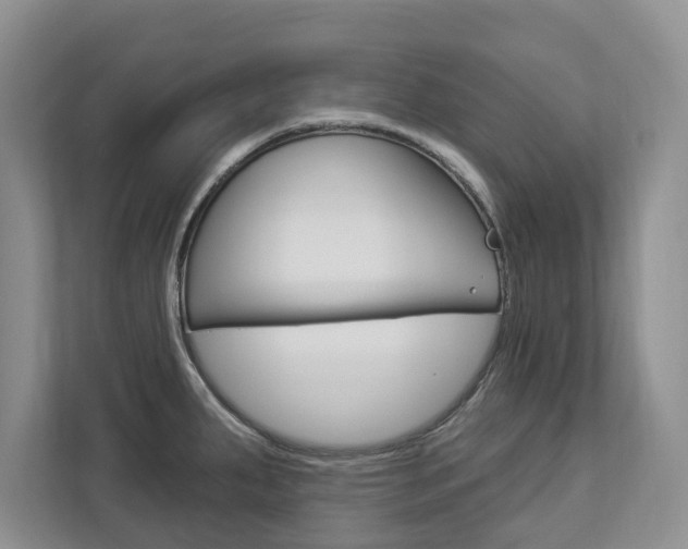 X0000112891287200908211023