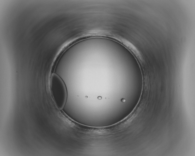 X0000112891288200908211023