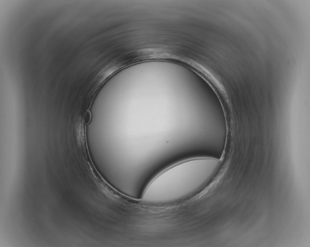 X0000112891289200908211023