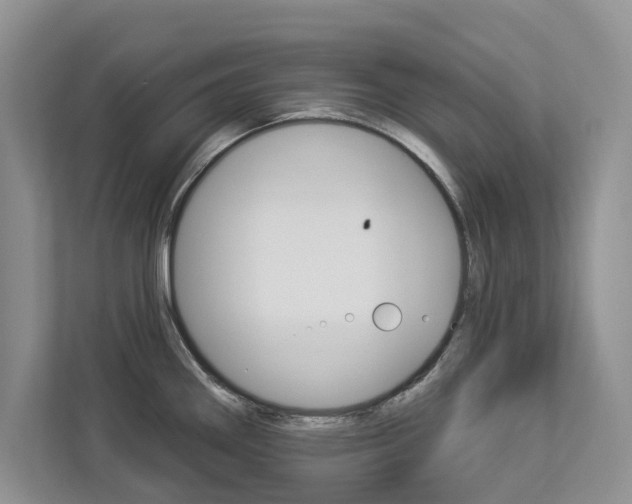 X0000112891290200908211023