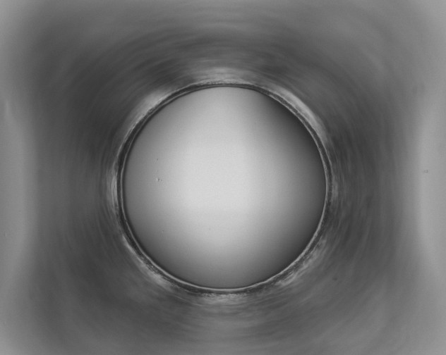 X0000112891293200908211023