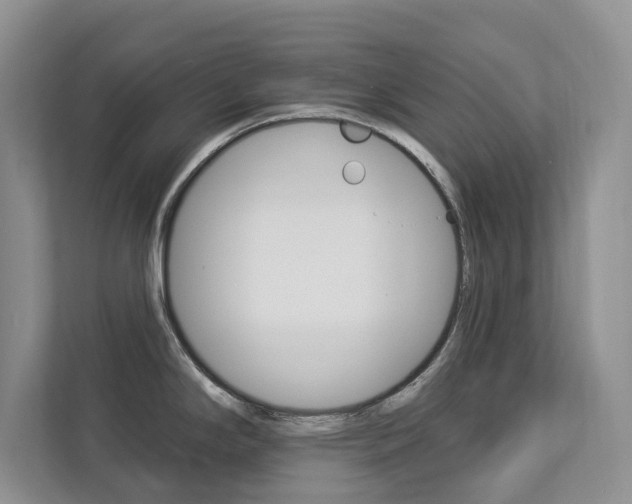X0000112891294200908211023