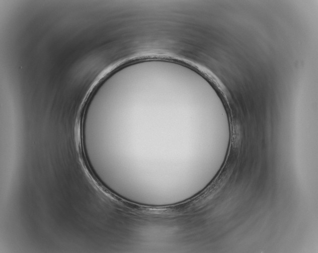 X0000112891295200908211023