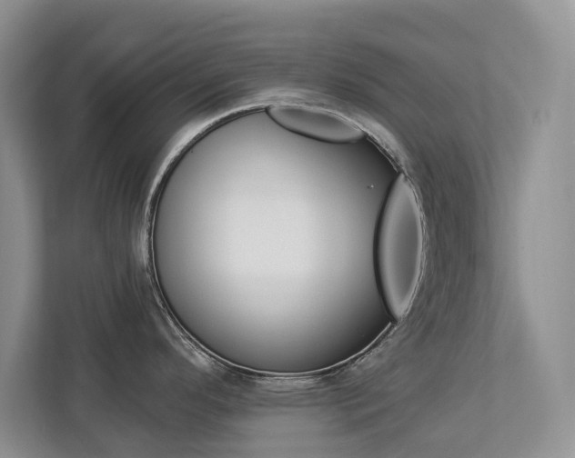 X0000112891296200908211023