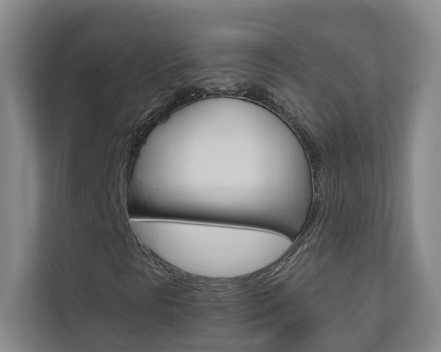 X0000112891297200908211022