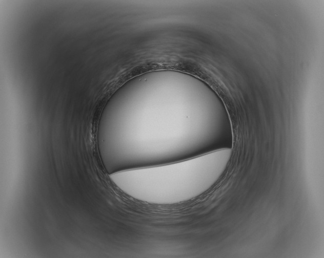 X0000112891298200908211022