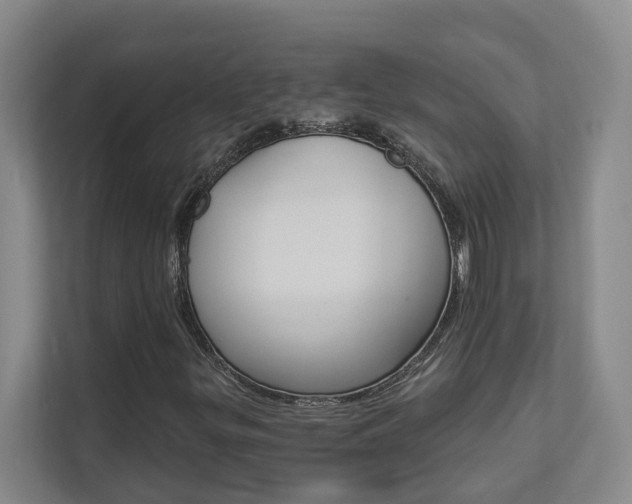 X0000112891299200908211022