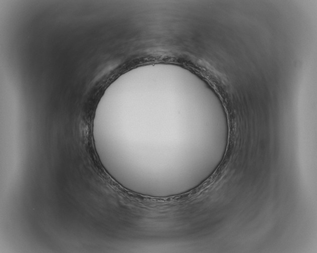 X0000112891302200908211022