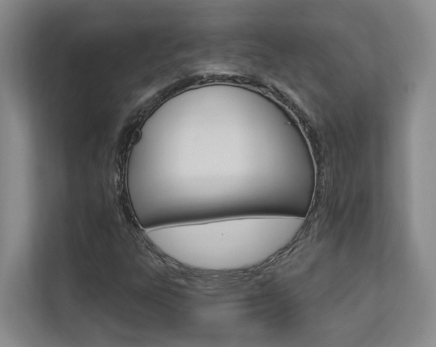 X0000112891303200908211022