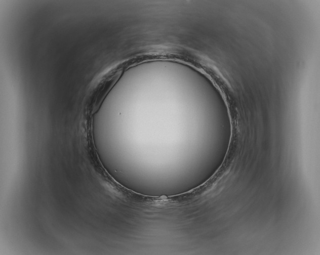 X0000112891304200908211022