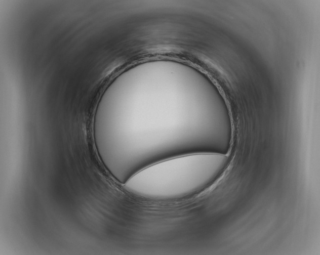 X0000112891305200908211022