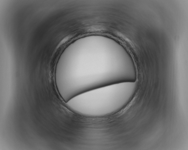 X0000112891306200908211022
