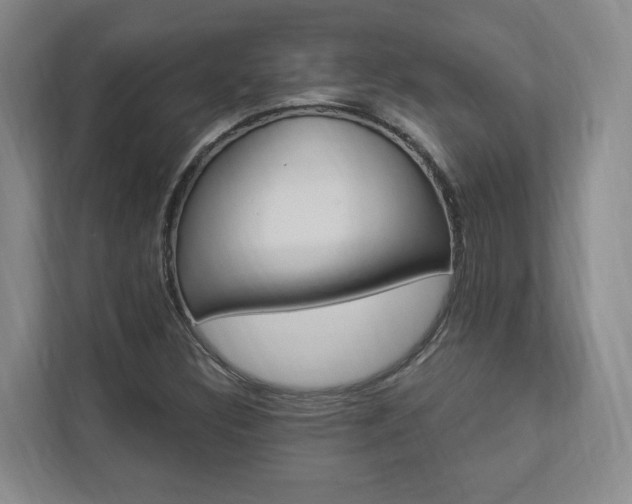 X0000112891308200908211022