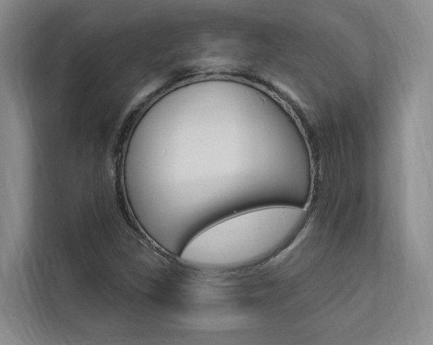 X0000112891309200908211022