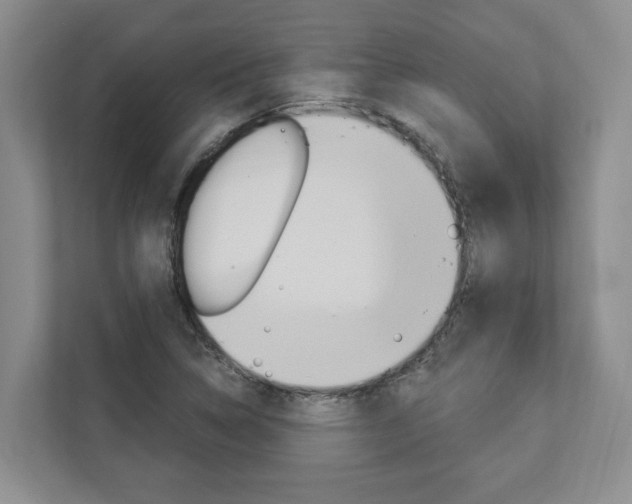 X0000112891314200908211022