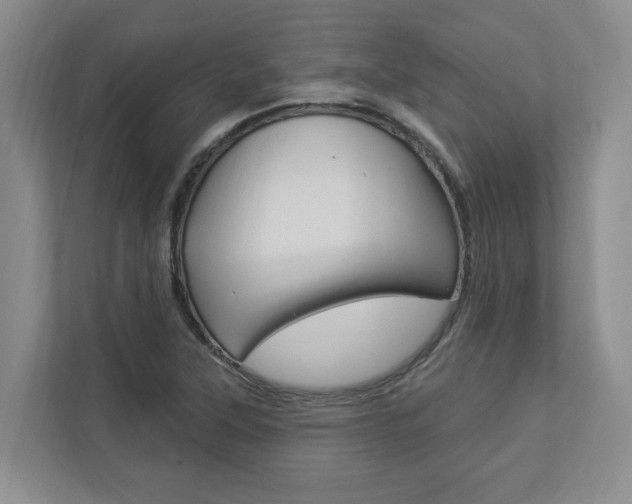 X0000112891315200908211022