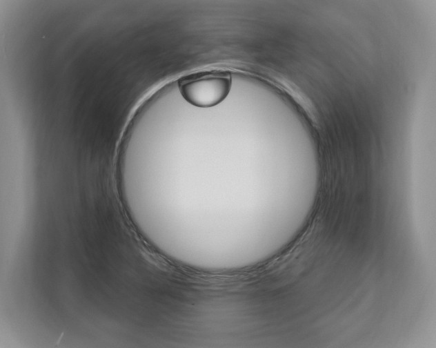 X0000112891316200908211022