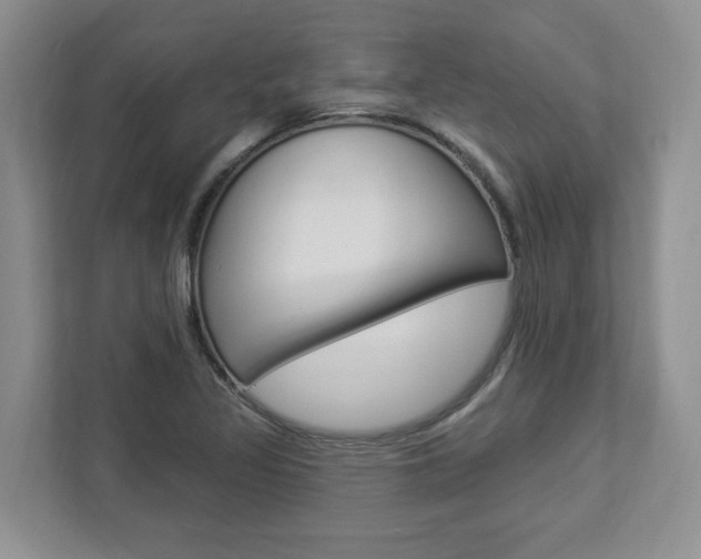 X0000112891317200908211022
