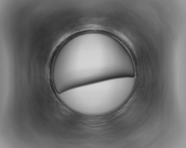 X0000112891318200908211022
