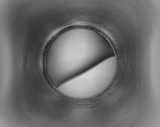 X0000112891319200908211022