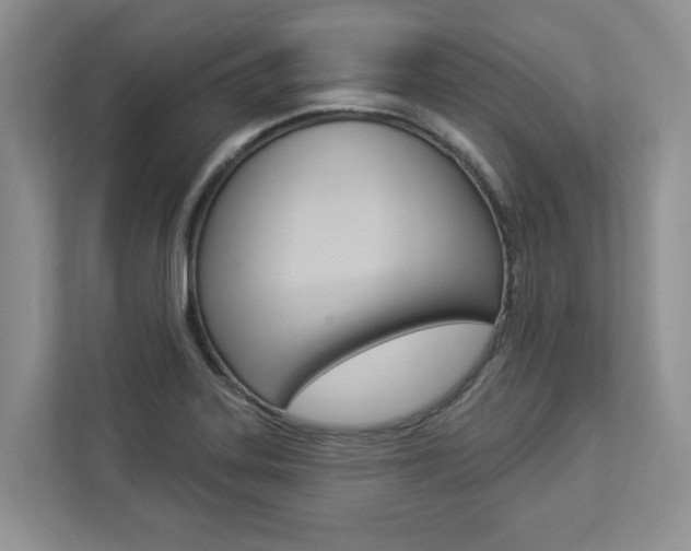 X0000112891323200908211022