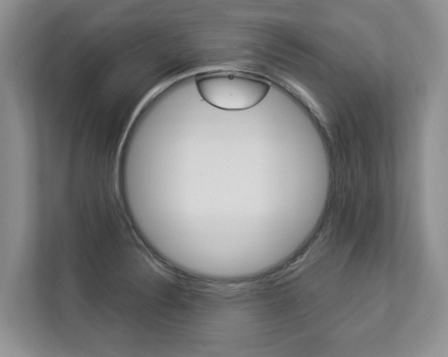 X0000112891324200908211022