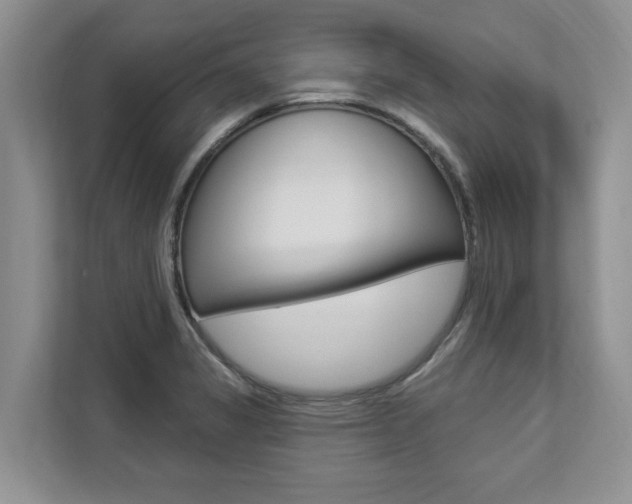 X0000112891325200908211022