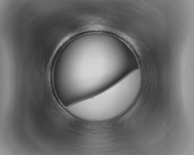 X0000112891326200908211022