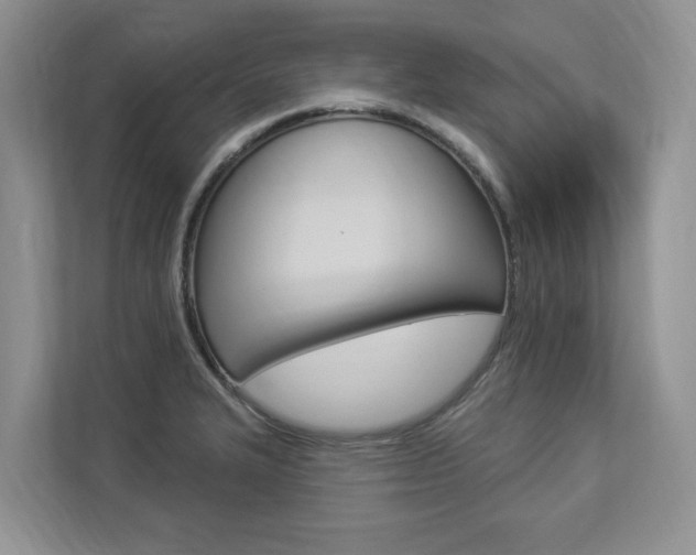 X0000112891327200908211022
