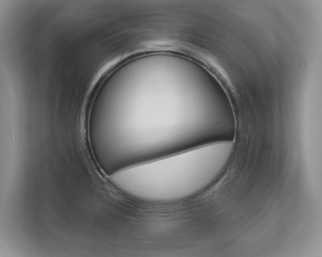 X0000112891328200908211022