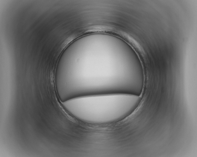 X0000112891329200908211022