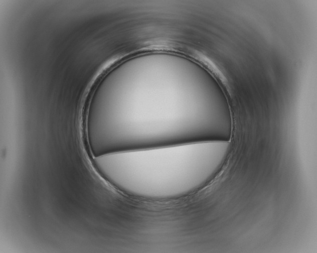 X0000112891331200908211022