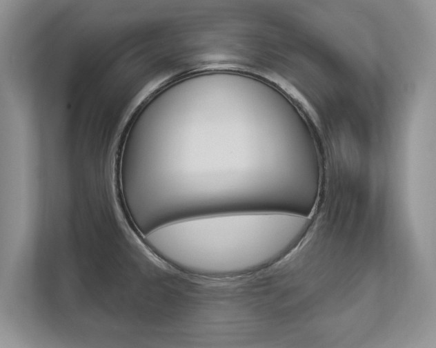 X0000112891333200908211022