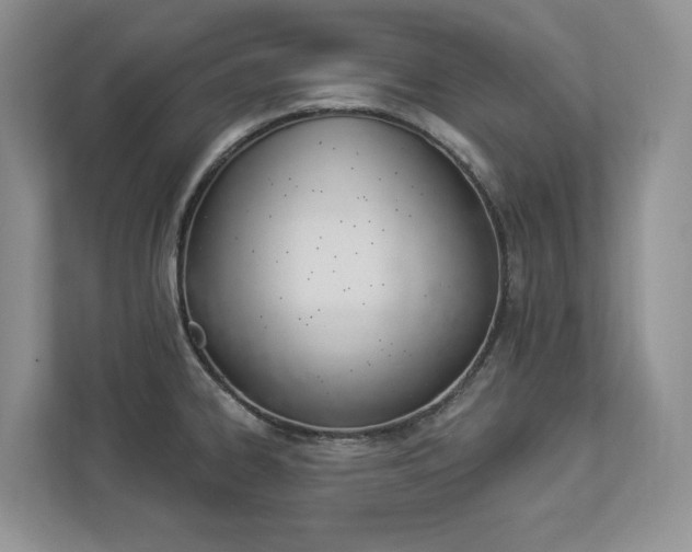 X0000112891334200908211022