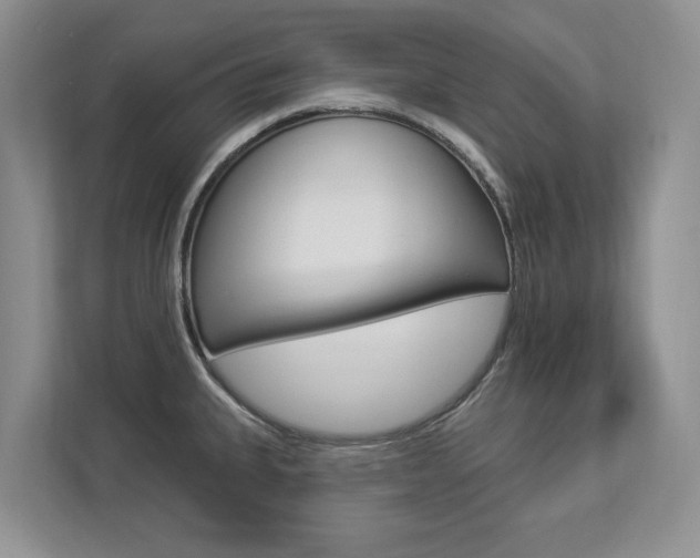 X0000112891335200908211022