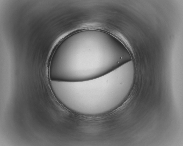 X0000112891336200908211022