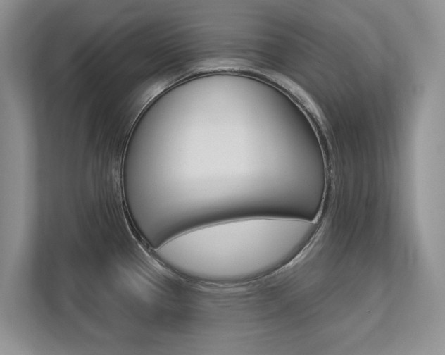 X0000112891337200908211022