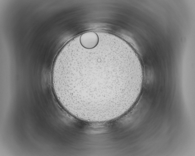 X0000112891338200908211022