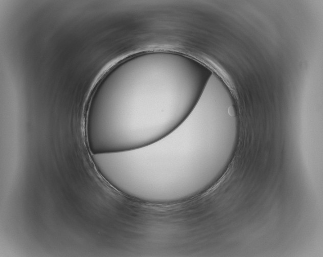 X0000112891340200908211022
