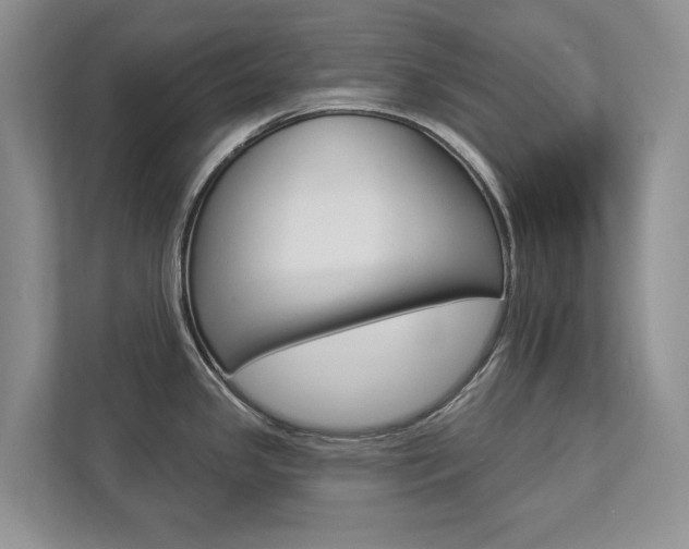 X0000112891341200908211022