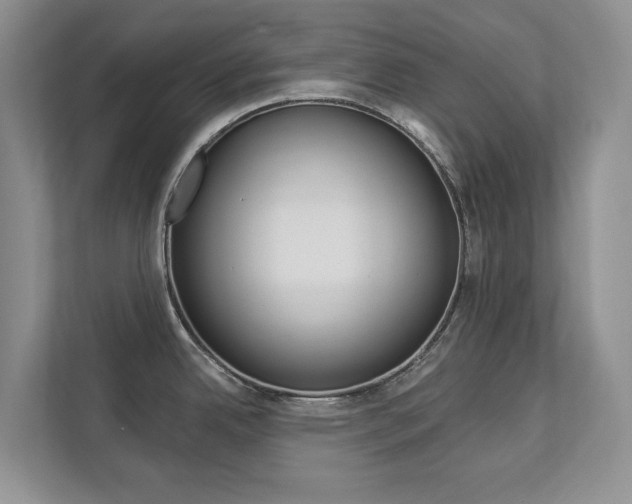 X0000112891342200908211022